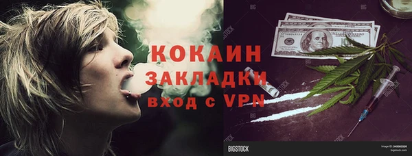 ГАЛЛЮЦИНОГЕННЫЕ ГРИБЫ Алексин